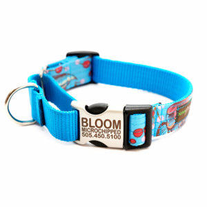bloom martingale dog collar