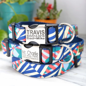 travis Engraved Dog Collar