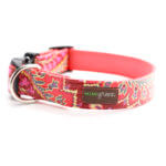 Pink Paisley Laminated Cotton Dog Collar 'Sweet Pea'