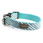 Blue Striped Laminated Cotton Dog Collar 'Agave'