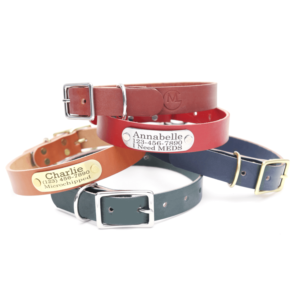 engraved nameplate leather collars colorful