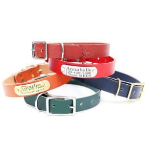 engraved nameplate leather collars colorful