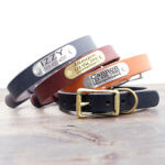DD: Leather Dog Collar with Personalized Nameplate