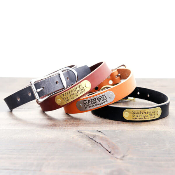 Leather Dog Collar with Personalized Riveted Nameplate