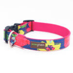 Clearance! Rosey Laminated Cotton Dog Collar -- (5/8" + 3/4" Width only)