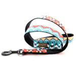 Feather & Bead Southwestern Designer Dog Leash - 'Chama'