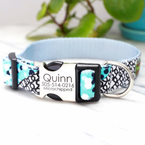 Quinn Engraved Dog Collar