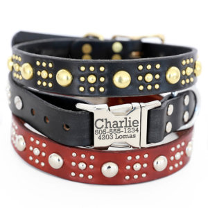 Studded personalized dog collar