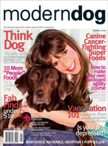moderndogcover_web