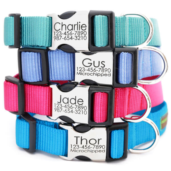 DD: Nylon Webbing Dog Collar – All colors – Optional Engraved Buckle