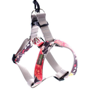 Brandy Harness