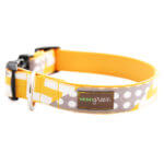 Polka Dot and Chevron  Designer Dog Collar 'Stewie'