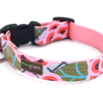 Zinnia Pink Floral Laminated Cotton Dog Collar