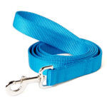 DD: Peacock Blue Nylon Leash
