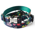 Clearance! Forest Flowers and Birds Designer Dog Collar -  'Birdie'