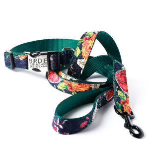 Birdie Collar & Leash Set