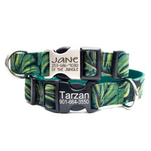 engraved buckle monstera dog collar jungle