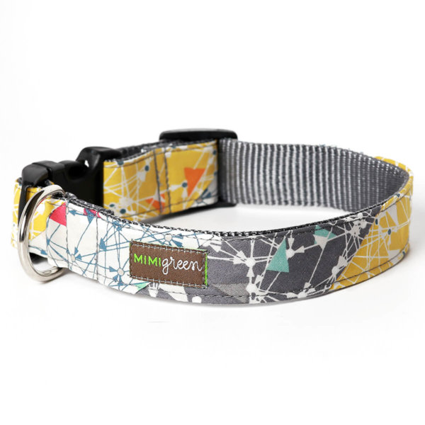Albert Science Dog Collar