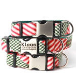 DD: Holiday Personalized Engraved Buckle Dog Collar *Klaus*