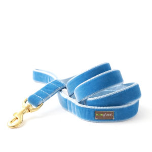 blue dog leash