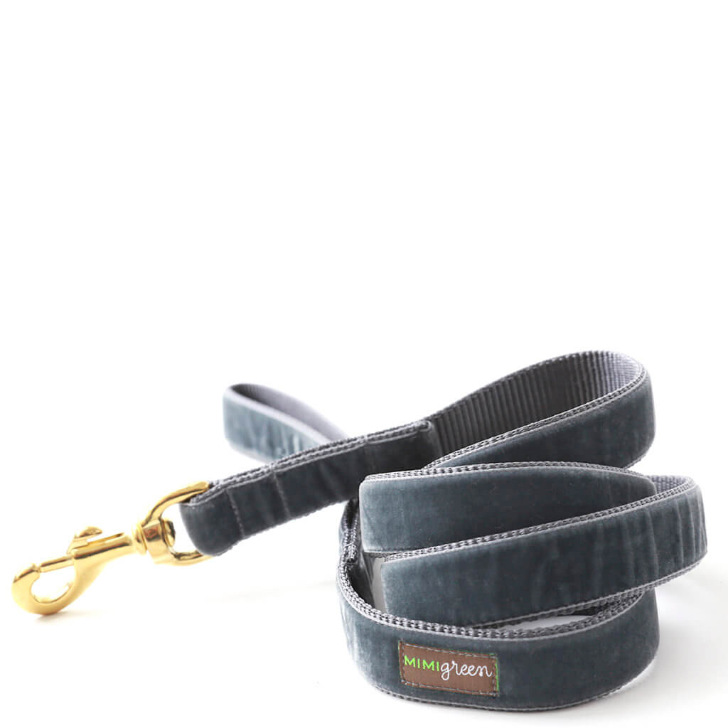 grey dog leash