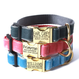 Vintage Velvet Dog Collar