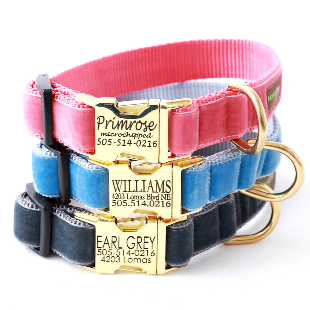 Velvet Dog Collars with Engraved Metal Buckle 14 Colors to Choose