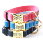 Vintage Velvet Dog Collar with Engraved Gold Buckle * 3 colors