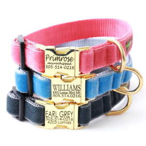 Vintage Velvet Dog Collar