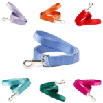 Mimi Green Dog Leash - All Nylon Webbing Colors