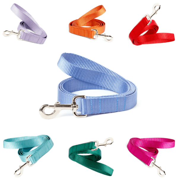 webbing leashes