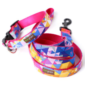 Colins Geometric Dog Collar