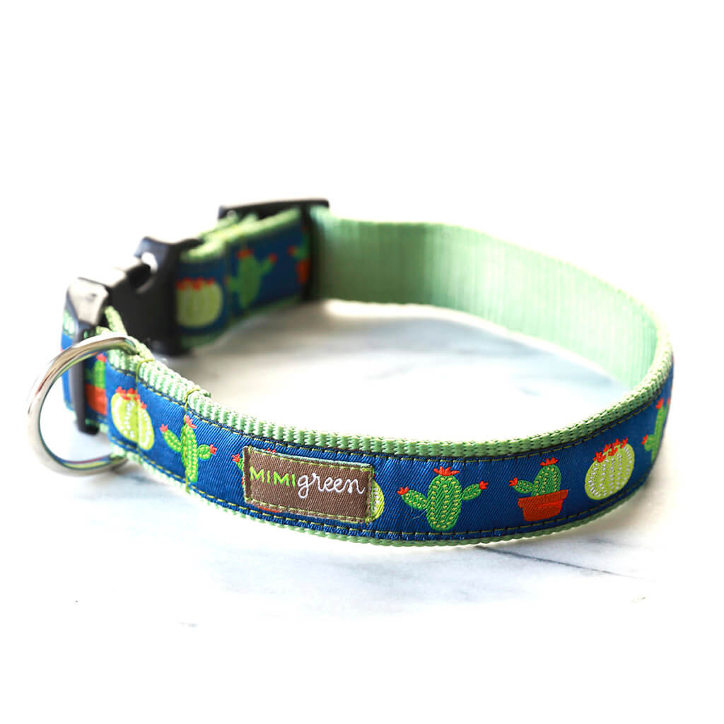 Aloe Cactus Dog Collar