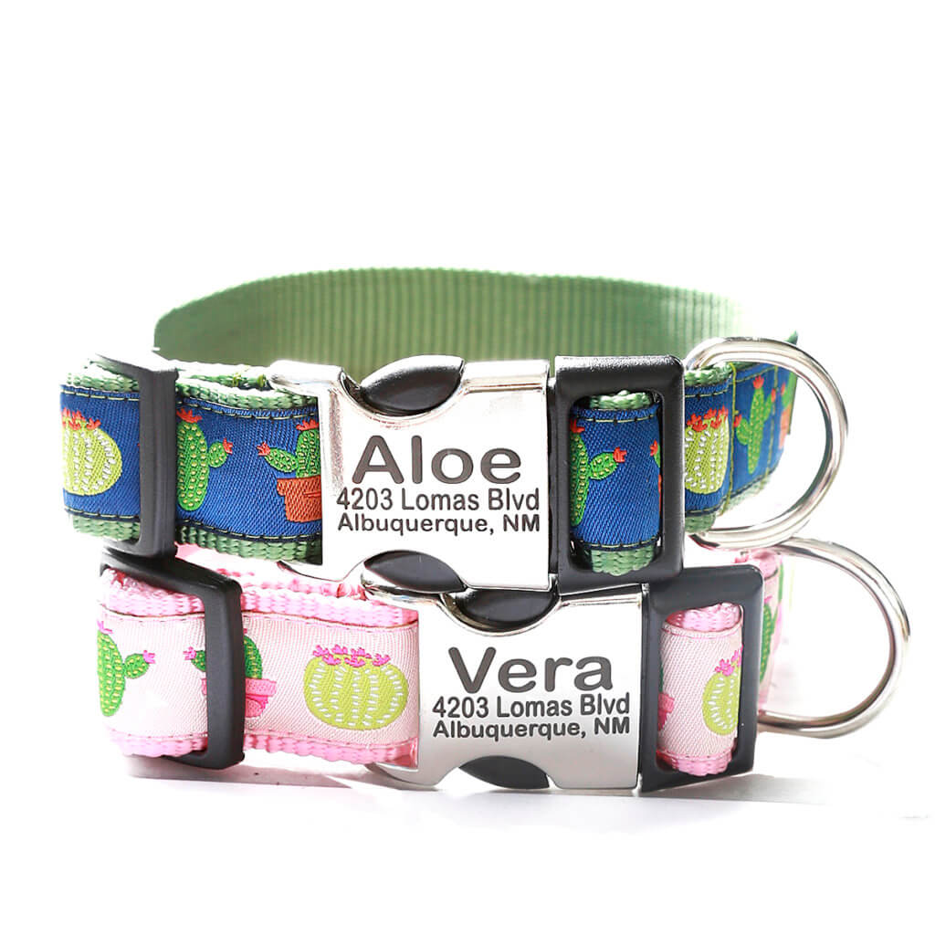 Cactus Dog Collar Aloe Vera