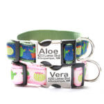 DD: Cactus Ribbon Dog Collar w Engraved Buckle - Aloe + Vera *Limited Release