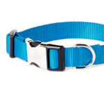 Peacock Blue Nylon Webbing Collar