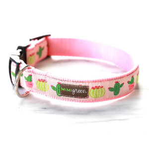 Vera Cactus Dog Collar