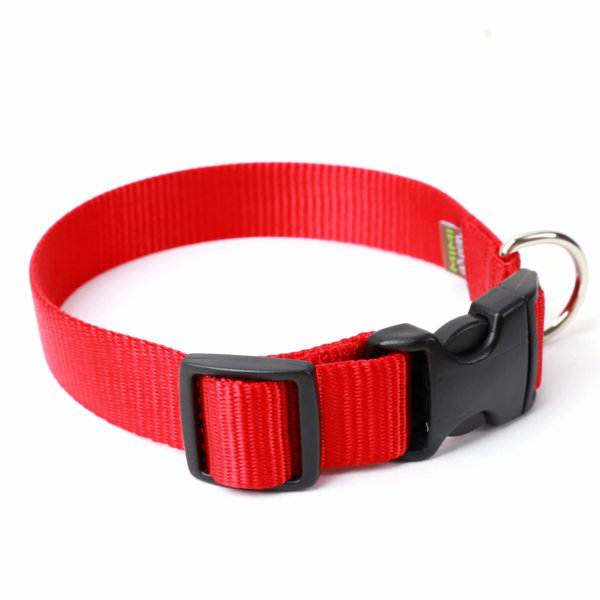 Red Nylon Dog Collar
