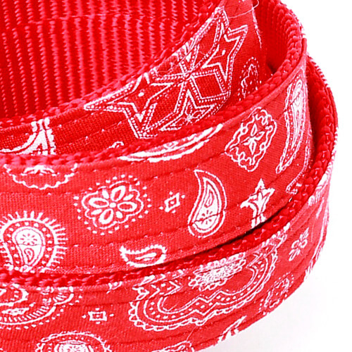Bandit Red