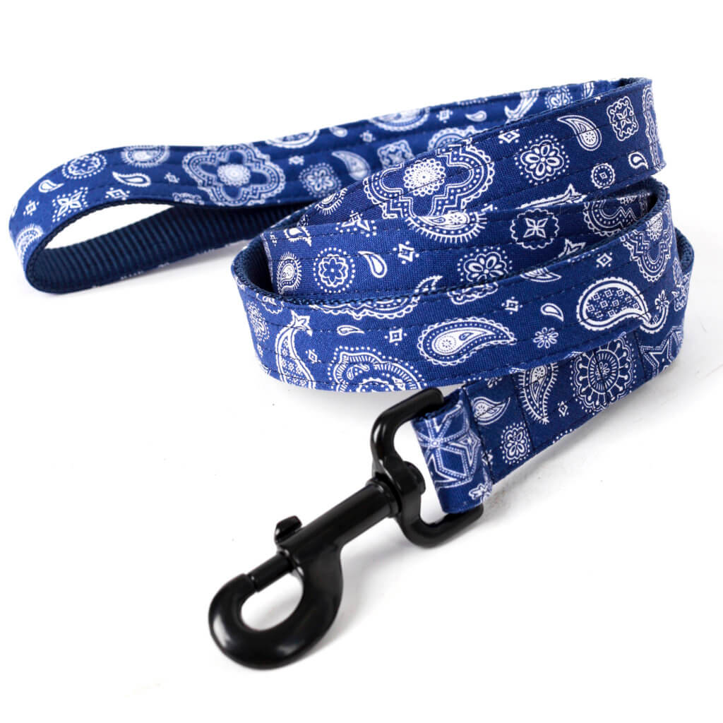 blue bandana dog leash