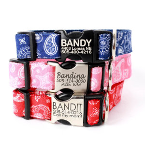 Bandana Dog Collar