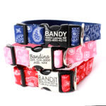 DD: 'Bandit' Bandana Dog Collar - 3 colors - Laser Engraved Buckle