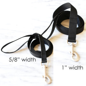 Poly Webbing Dog Leash