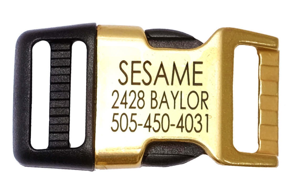 Brass Hybrid Buckle