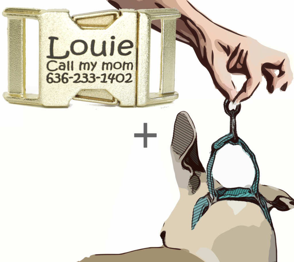 Martingale Style with Gold Zinc Diecast
