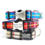 'Scotty' Plaid Dog Collar - 3 colors - Laser Engraved Buckle