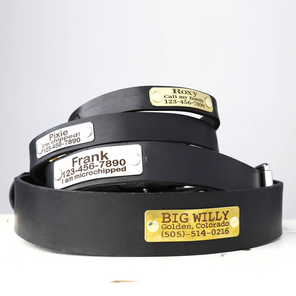 Personalized Black Leather Dog Collar Belt Buckle Style with Engraved