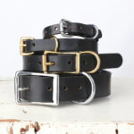 Black Leather Dog Collar – Belt Buckle Style