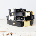 Black Leather Dog Collar – Side-Release Buckle Style