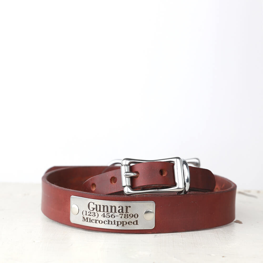 Personalized Brown Leather Dog Collar Belt Buckle Style with Engraved